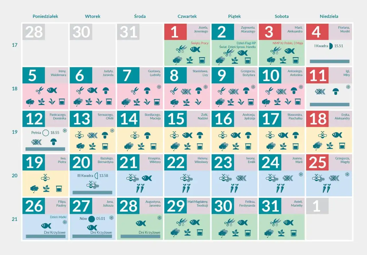 kalendarz ogrodnika maj pomidory przymrozki