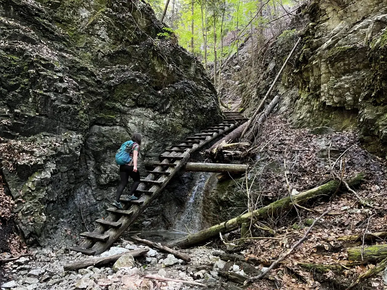 Słowacki Raj wąwozy i drabinki