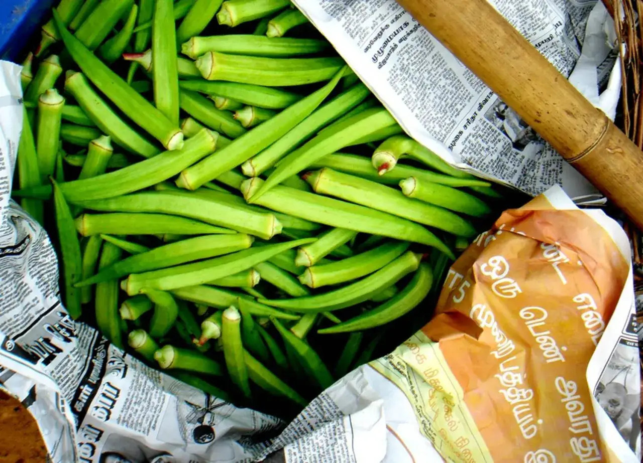 Świeża okra, gotowa na polskie dania. Zielone strączki ułożone na gazetach, obok bambusowy patyk.