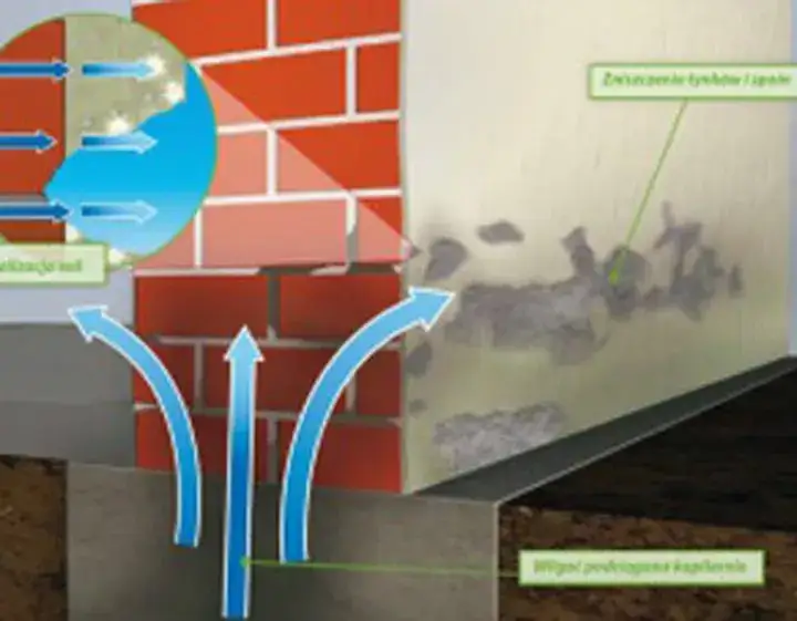 wilgoć w starym murze podciąganie kapilarne