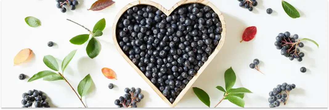 aronia właściwości zdrowotne infografika