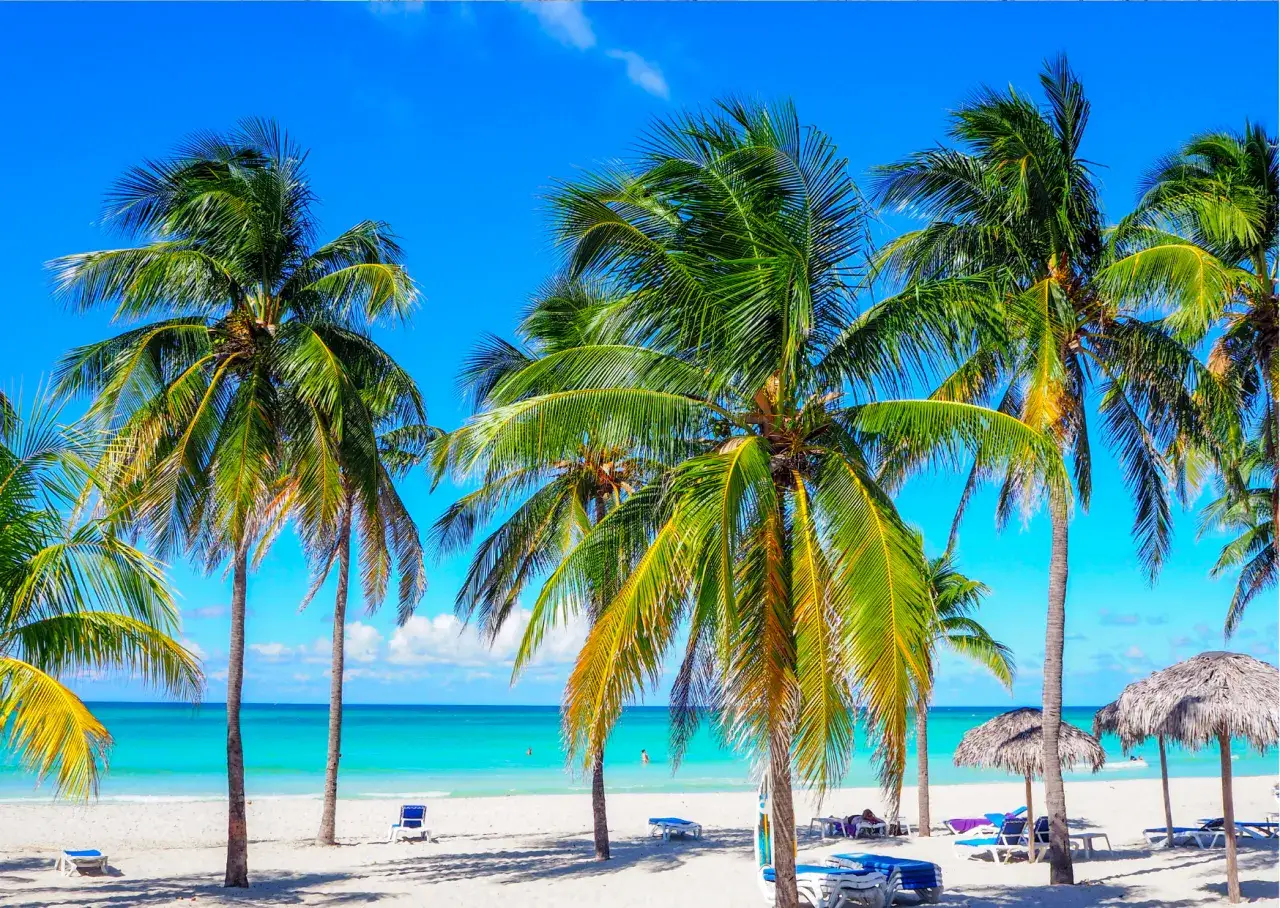 Palmy nad turkusowym morzem, biały piasek i leżaki – idealne miejsce, by zastanowić się, kiedy jechać na Kubę.