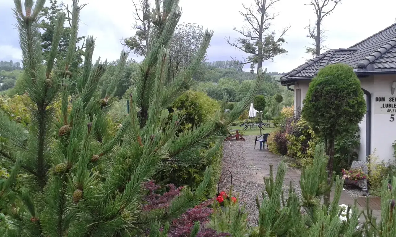 Proces przyjęcia do domu seniora Lublewo