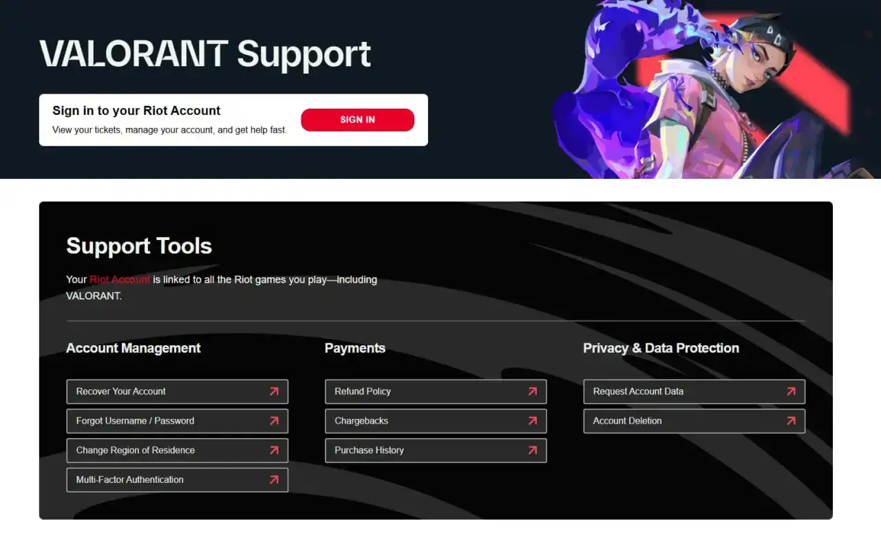 Riot Games wsparcie usunięcie konta