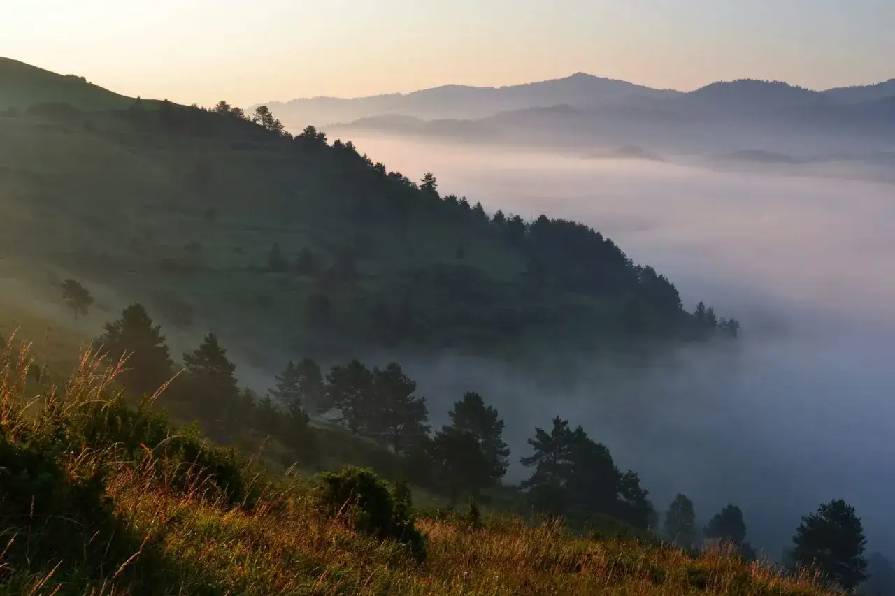 Poranne mgły otulają g&oacute;rzysty krajobraz. Na pierwszym planie trawy, dalej zbocze porośnięte drzewami, a w oddali widoczne lesnicke sedlo.