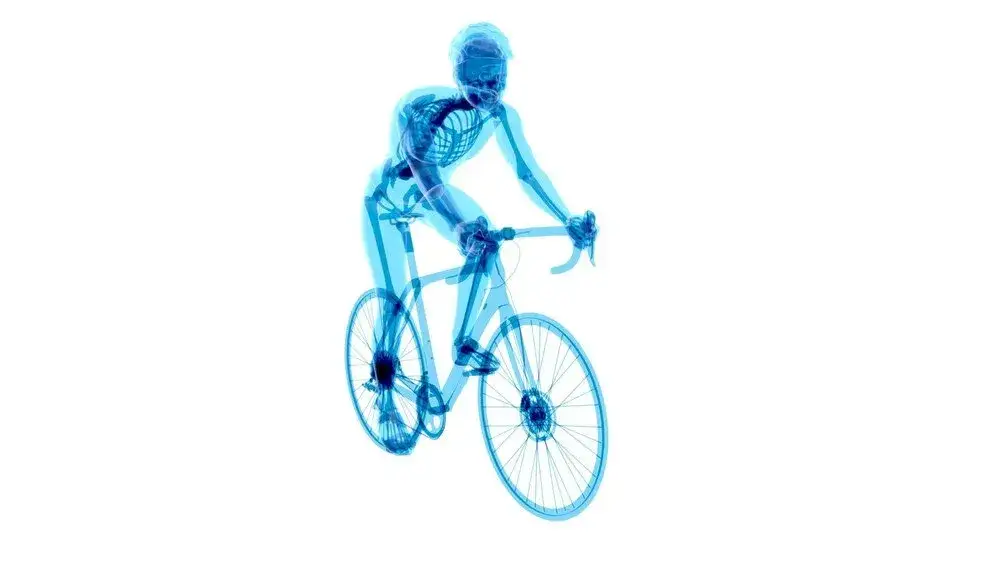 mięśnie pracujące na rowerze, anatomia rowerzysty, mięśnie n&oacute;g rower
