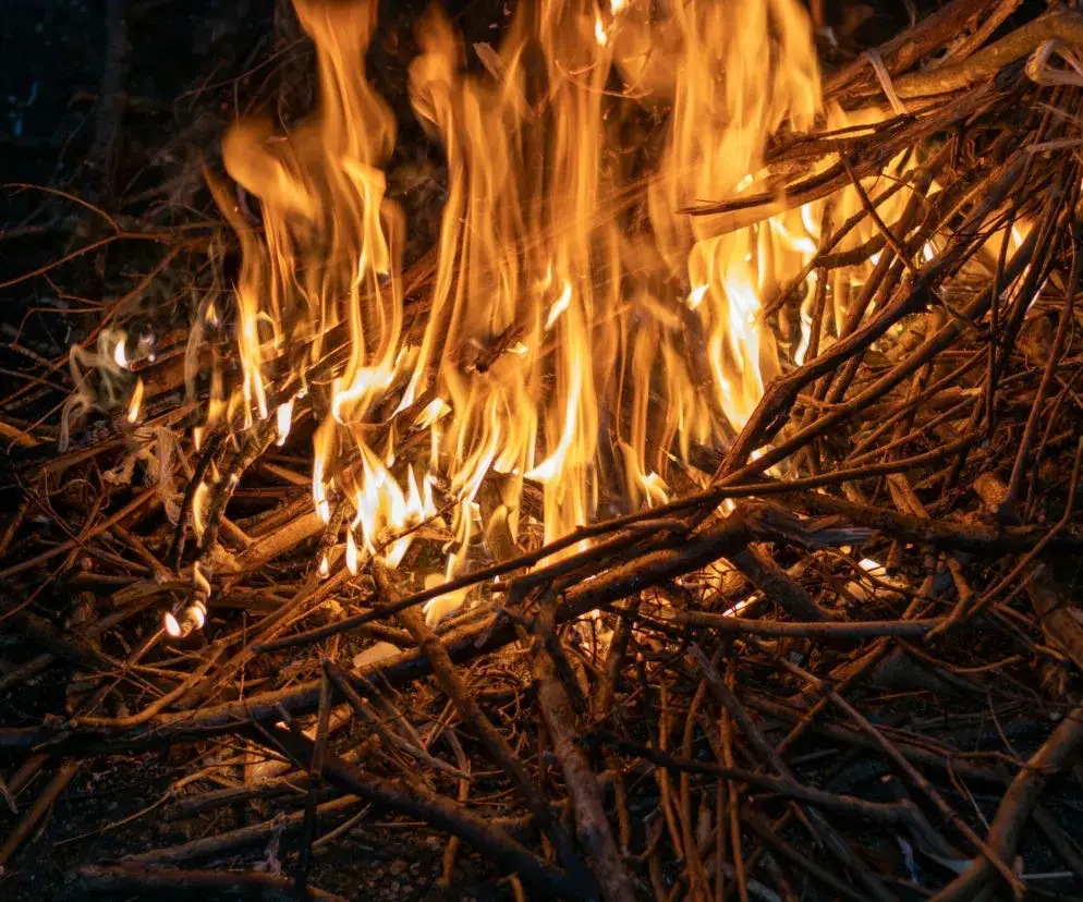 Zakaz palenia gałęzi na działce przepisy