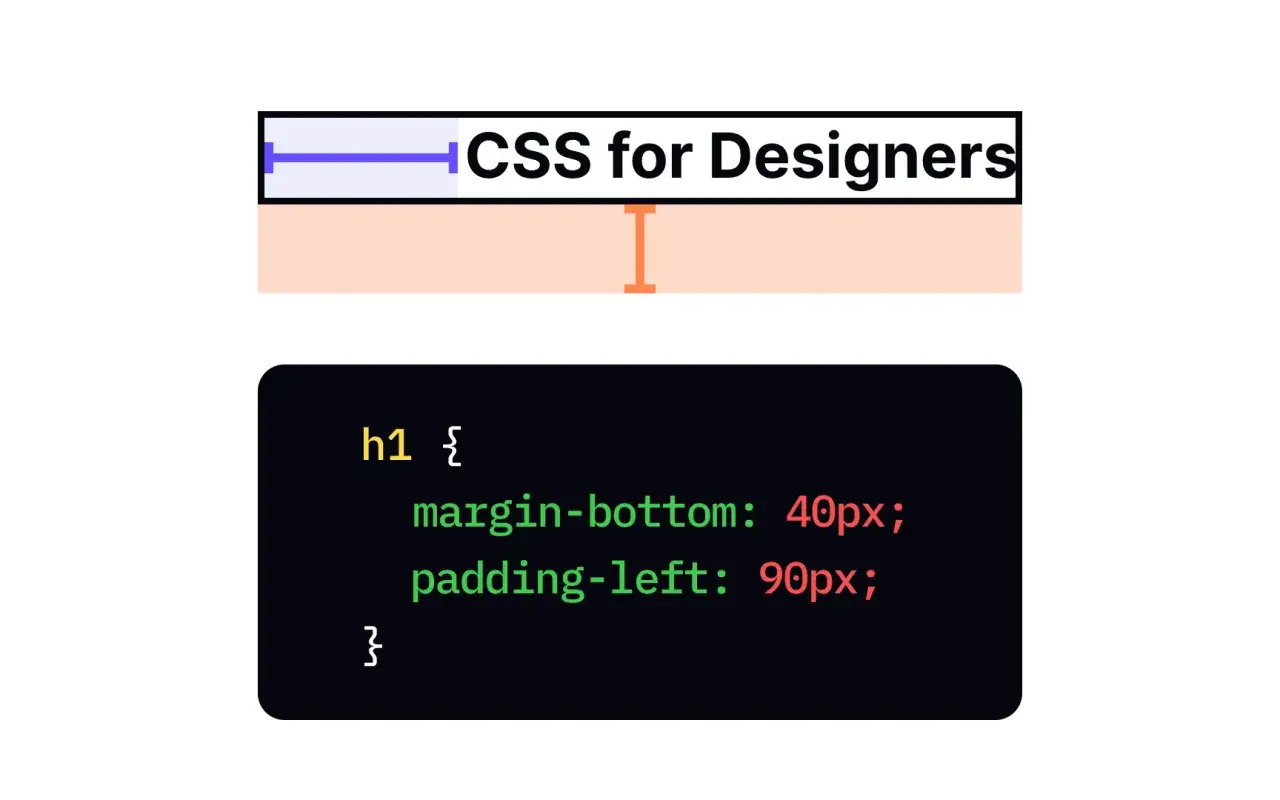 Różnica między padding a margin w CSS