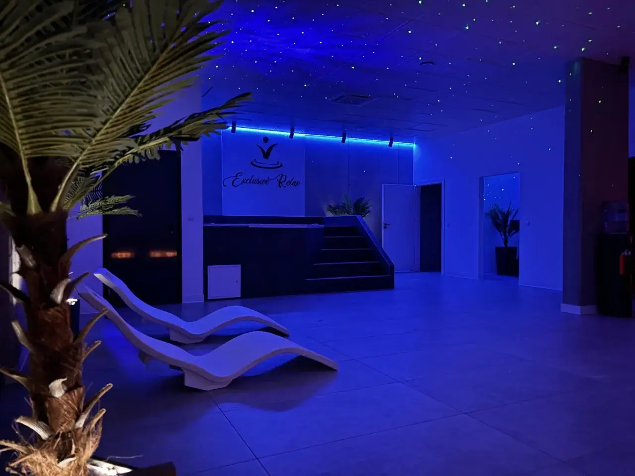 Relaks w nowoczesnym spa koło Wrocławia. Dwa białe leżaki i sztuczna palma w niebieskim świetle.