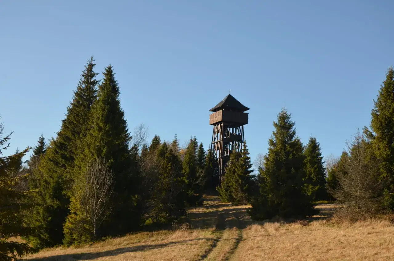 Drewniana wieża widokowa na Magurkach g&oacute;ruje nad lasem. Ścieżka prowadzi przez trawiaste zbocze ku niej.