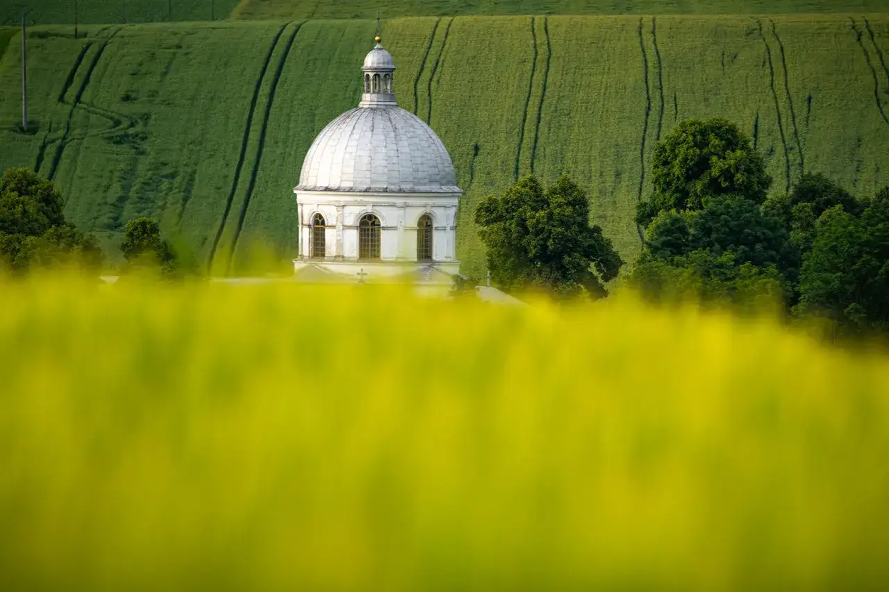 Biała kopuła kościoła wyłania się z kwitnącego pola, tworząc malowniczy kadr dla fotografowania architektury na tle zielonych p&oacute;l.
