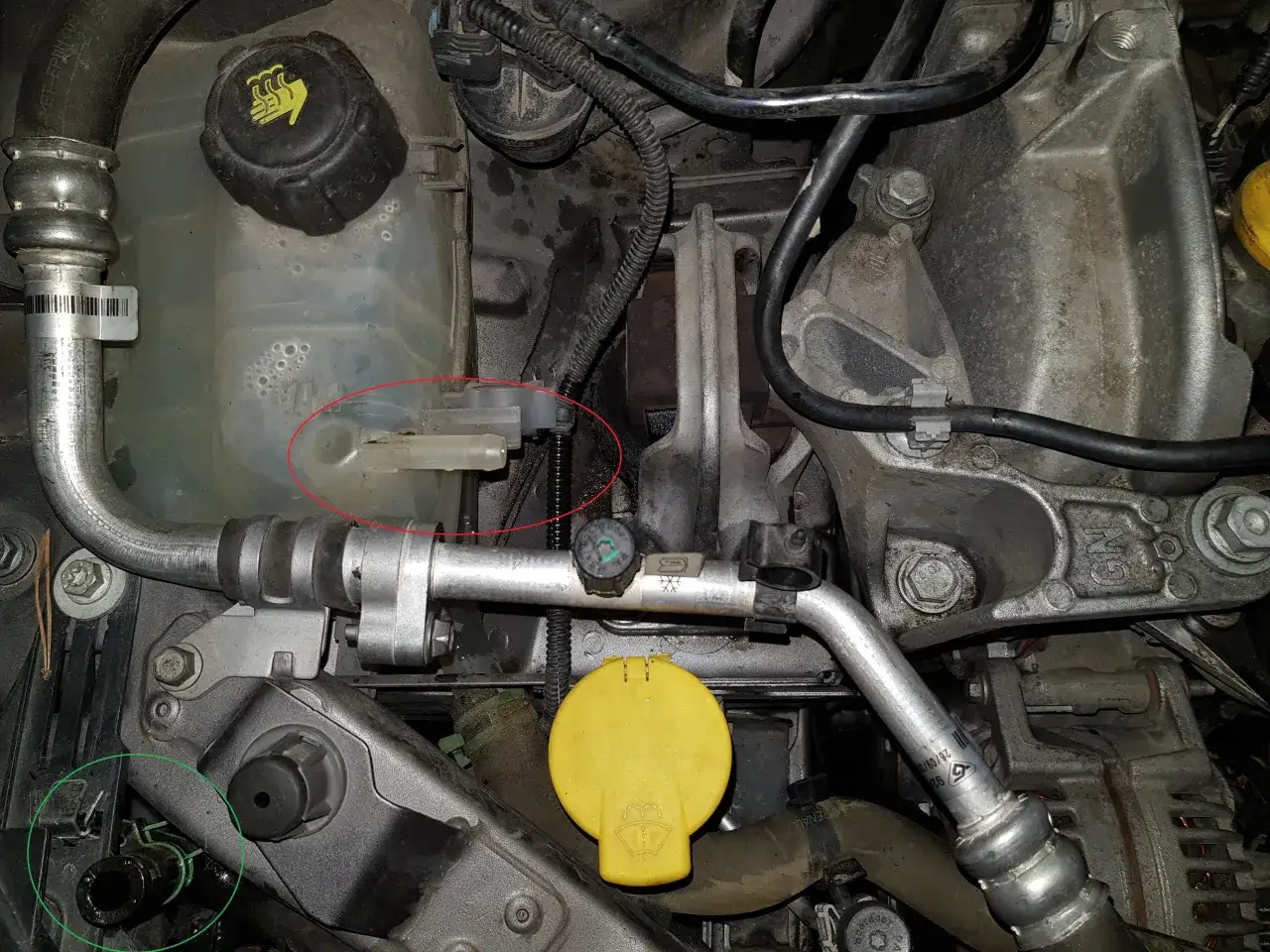 Zbiornik płynu chłodniczego w Renault Megane. Wskaźnik poziomu płynu jest widoczny.