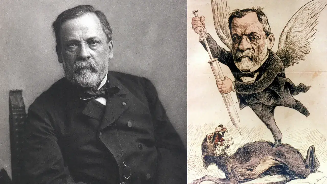 Zdjęcie Kto wynalazł szczepionkę przeciw wściekliźnie i jak zmieniła świat?