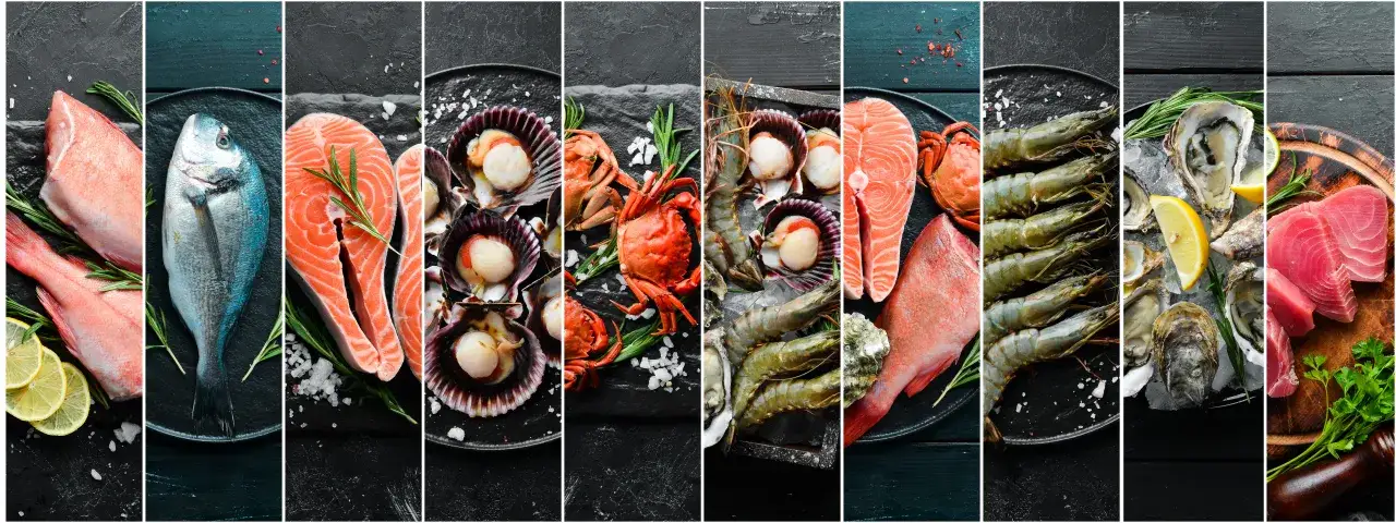 Marquart GmbH Online Bestellsystem Gastronomie