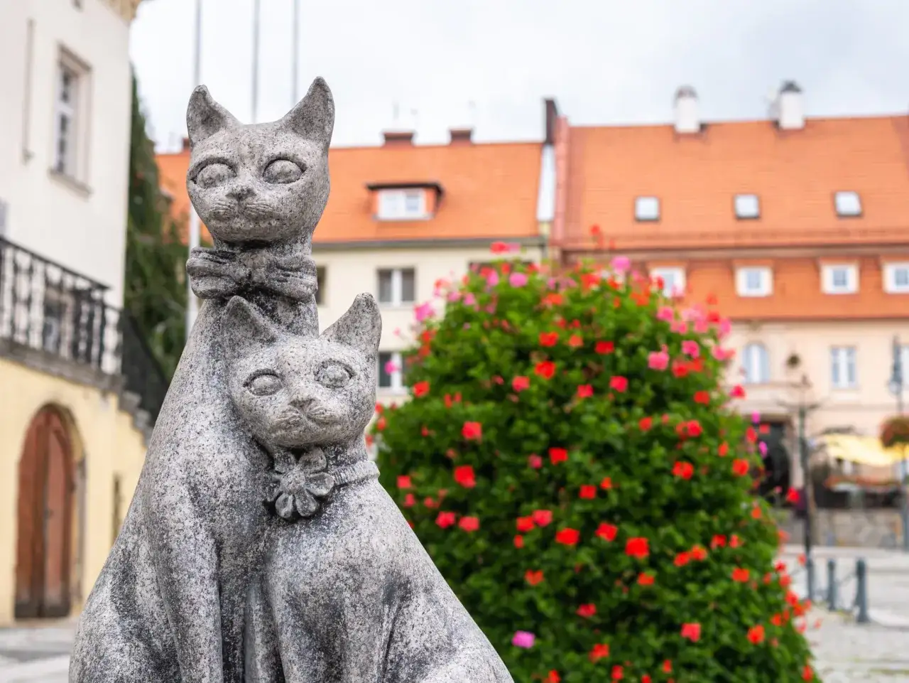 Kamienne koty, ozdobione kokardą i kwiatkiem, przyciągają wzrok wśr&oacute;d kwitnących krzew&oacute;w. To urocze trzebnica atrakcje, kt&oacute;re dodają uroku miejscom.