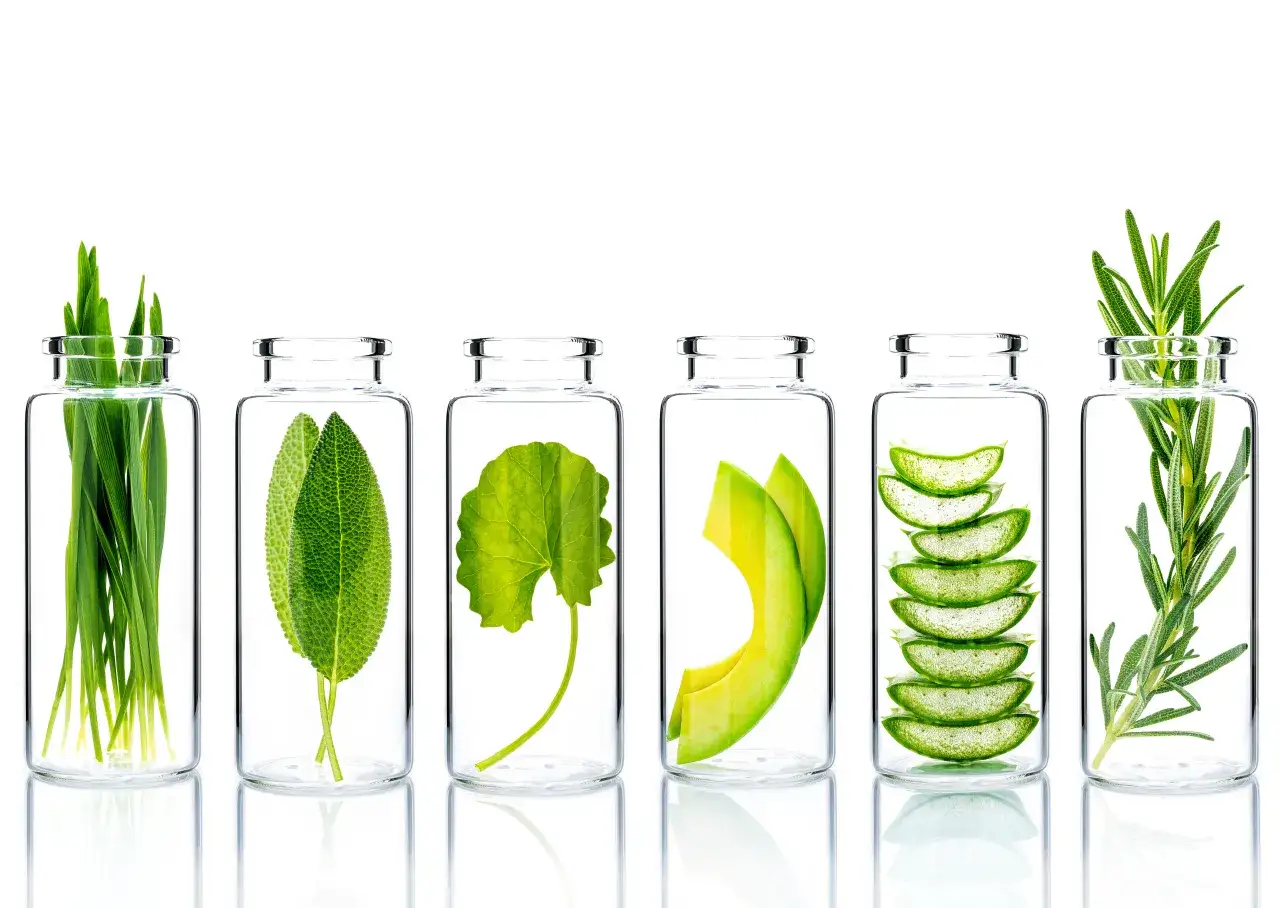 roślinne składniki detox w kosmetykach