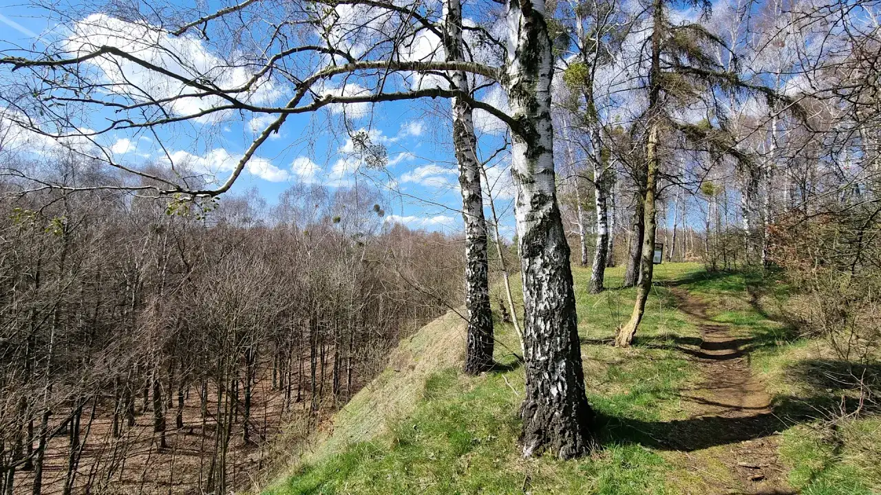Suchogórski Labirynt Skalny widok ogólny