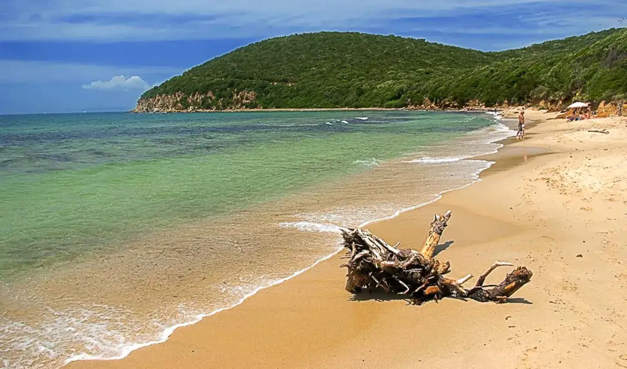 Cala Violina Maremma spiaggia