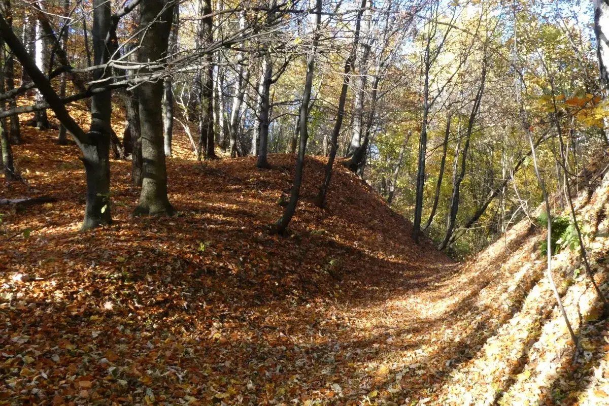 Suchogórski Labirynt Skalny jesień
