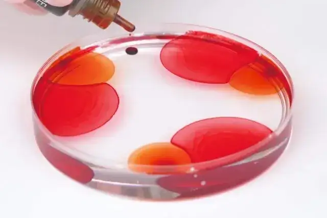 żywica epoksydowa efekt petri dish