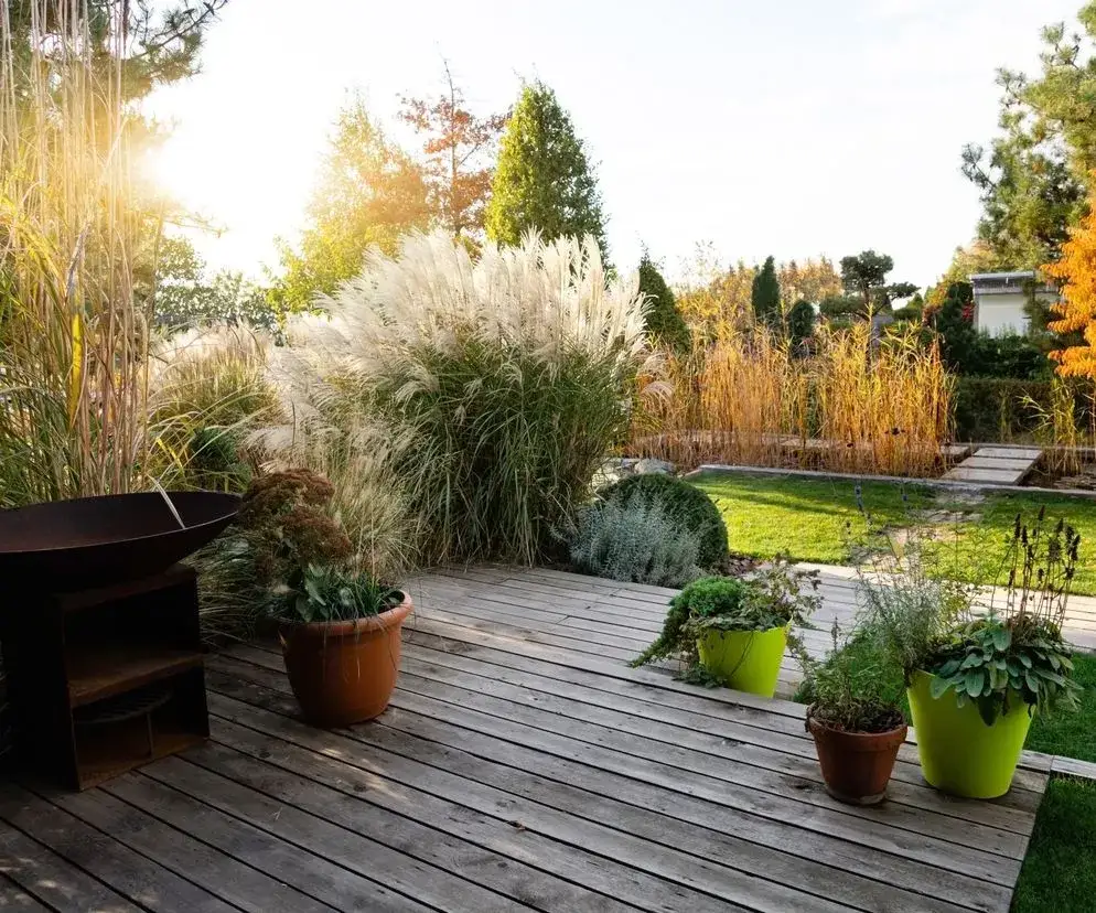 Zabezpieczone donice na zimę na tarasie