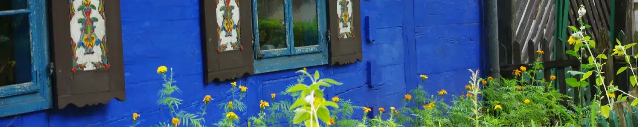 Zdjęcie Skansen wsi łowickiej: Poznaj fascynującą historię i tradycje