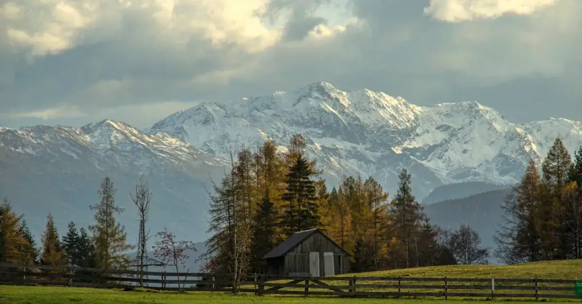 Zdjęcie Rutka Tartak: Oferta i usługi gminy Rutka Tartak – co warto wiedzieć?