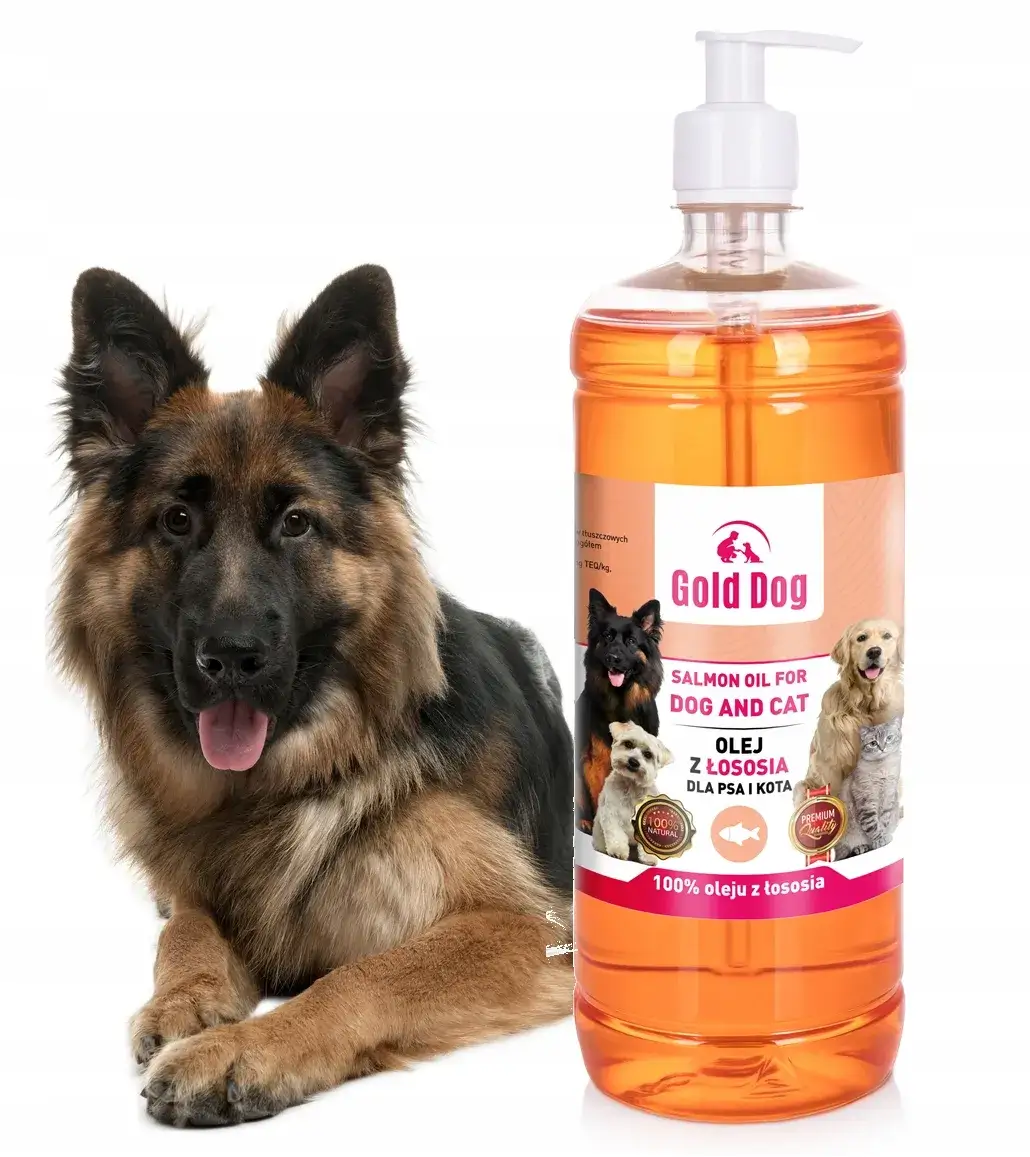 Zdjęcie Jaką karmę na wypadanie sierści wybrać, aby pomóc psu?