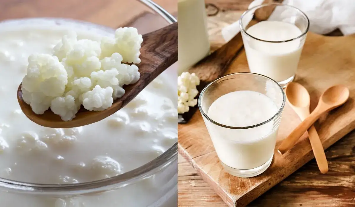 Zdjęcie Jak zrobić domowy kefir? Przepis na pyszny napój probiotyczny