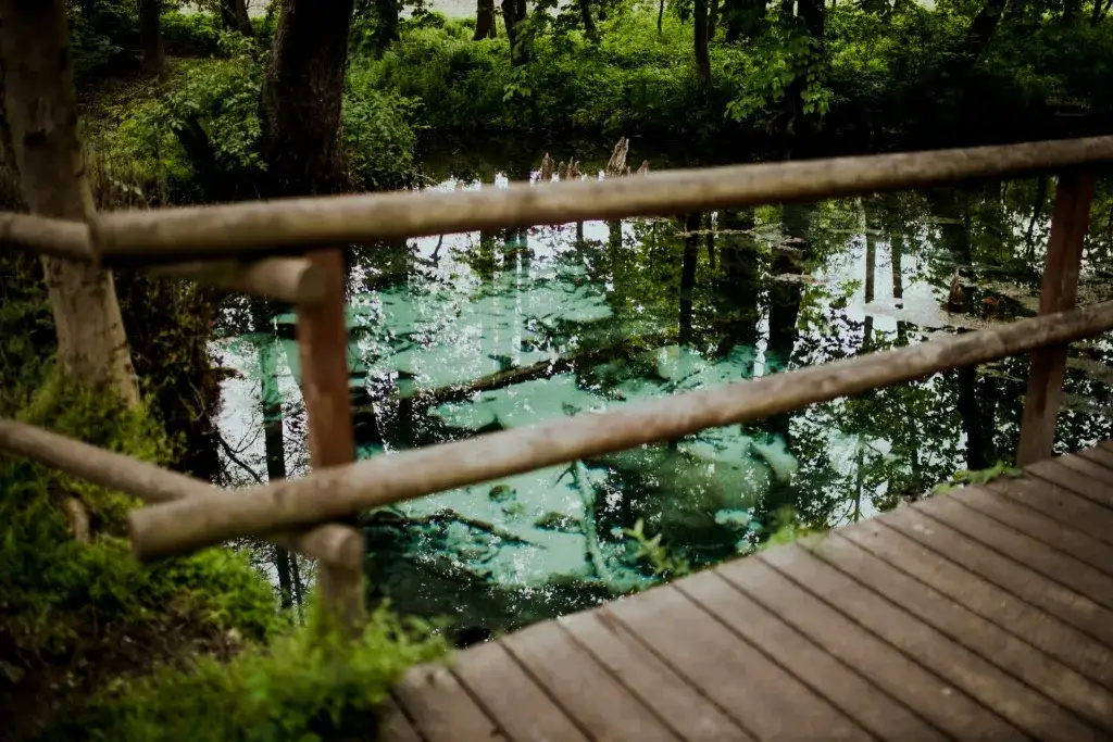 Zdjęcie Kraków: 8 Fascynujących Wycieczek w Okolicy