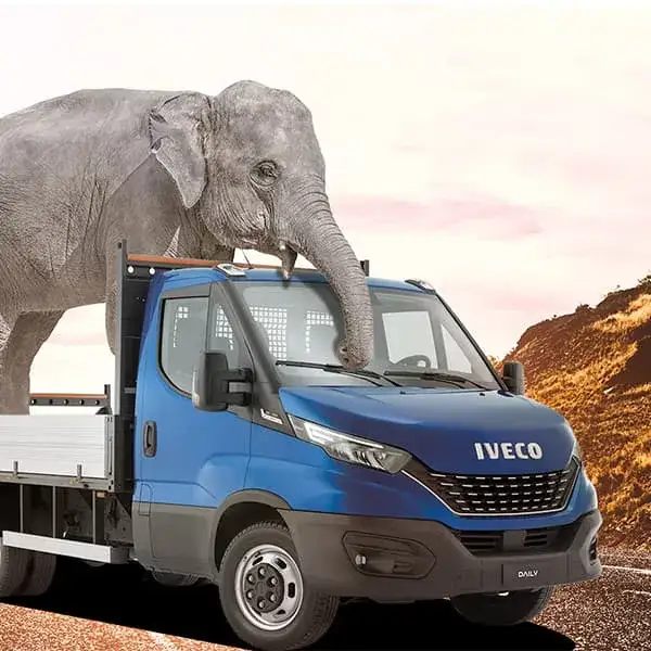 Zdjęcie Który bus ma największą ładowność? Sprawdź najlepsze modele!