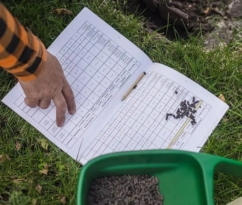 kalendarz nawożenia krzew&oacute;w ozdobnych