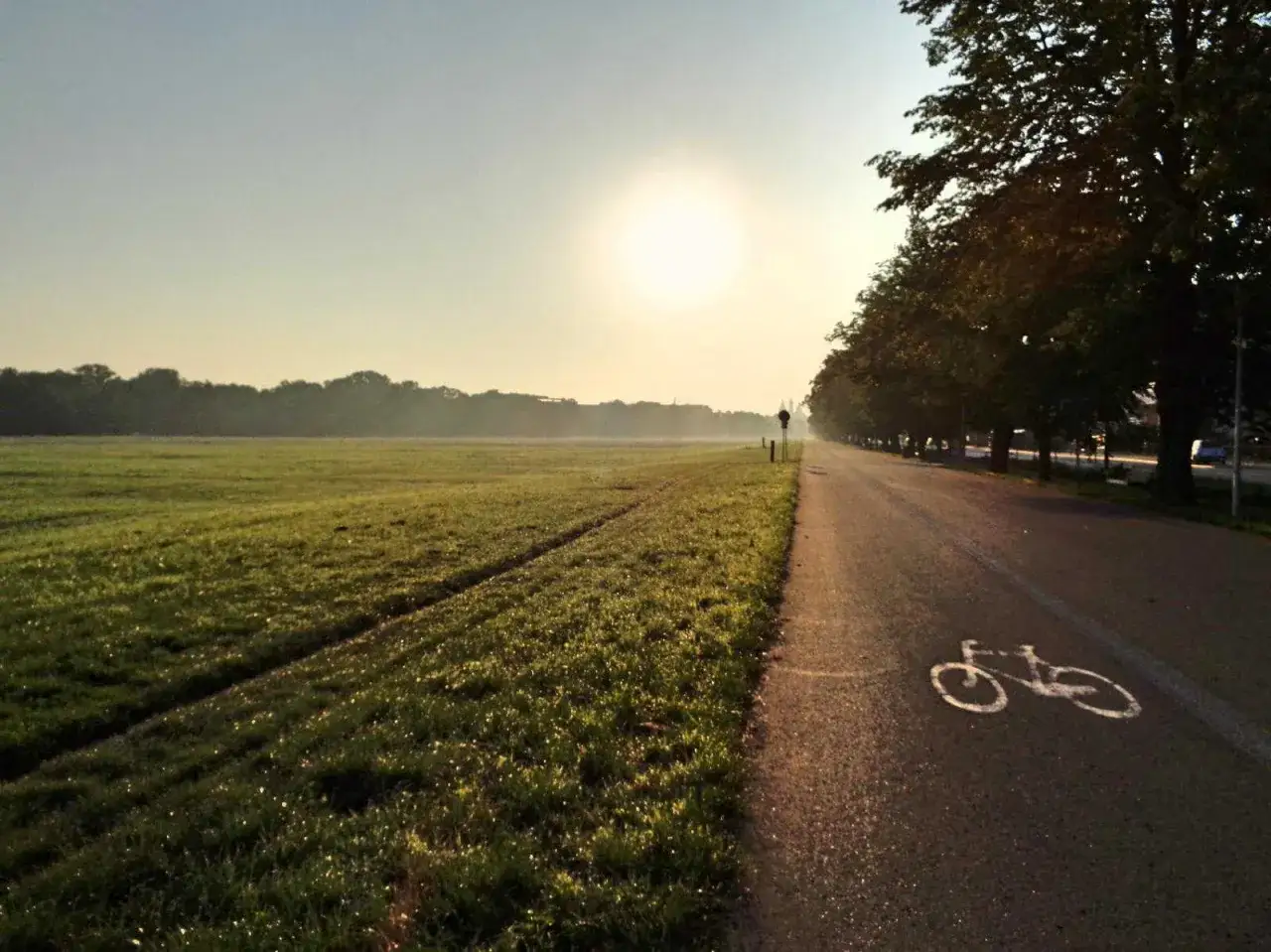 Poranna mgła nad trawą, słońce wschodzi nad pustynią błędowską. Trasa rowerowa zaprasza na przejażdżkę.