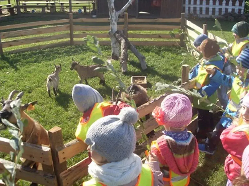 zagroda edukacyjna dzieci zwierzęta