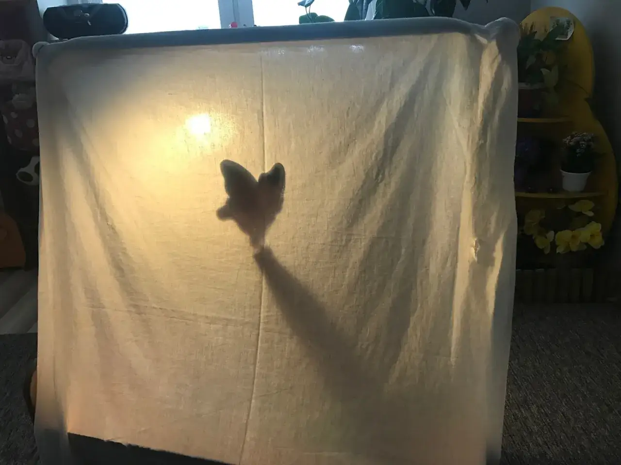 Jak zrobić teatrzyk cieni? Motyl rzuca cień na białe płótno, tworząc magiczny spektakl.