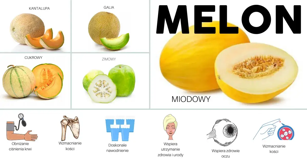 rodzaje melon&oacute;w do koktajli