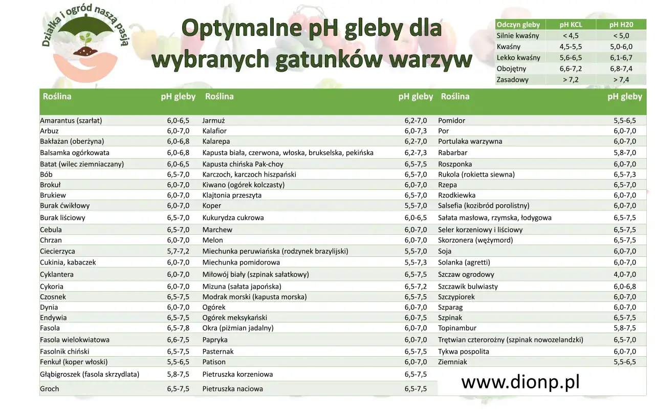 Tabela optymalnego pH gleby dla wybranych gatunk&oacute;w warzyw. Znajdziesz tu informacje o preferowanym odczynie gleby dla pomidor&oacute;w, og&oacute;rk&oacute;w i wielu innych roślin.