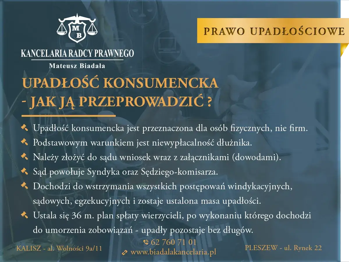 r&oacute;żne składniki majątku upadłość konsumencka