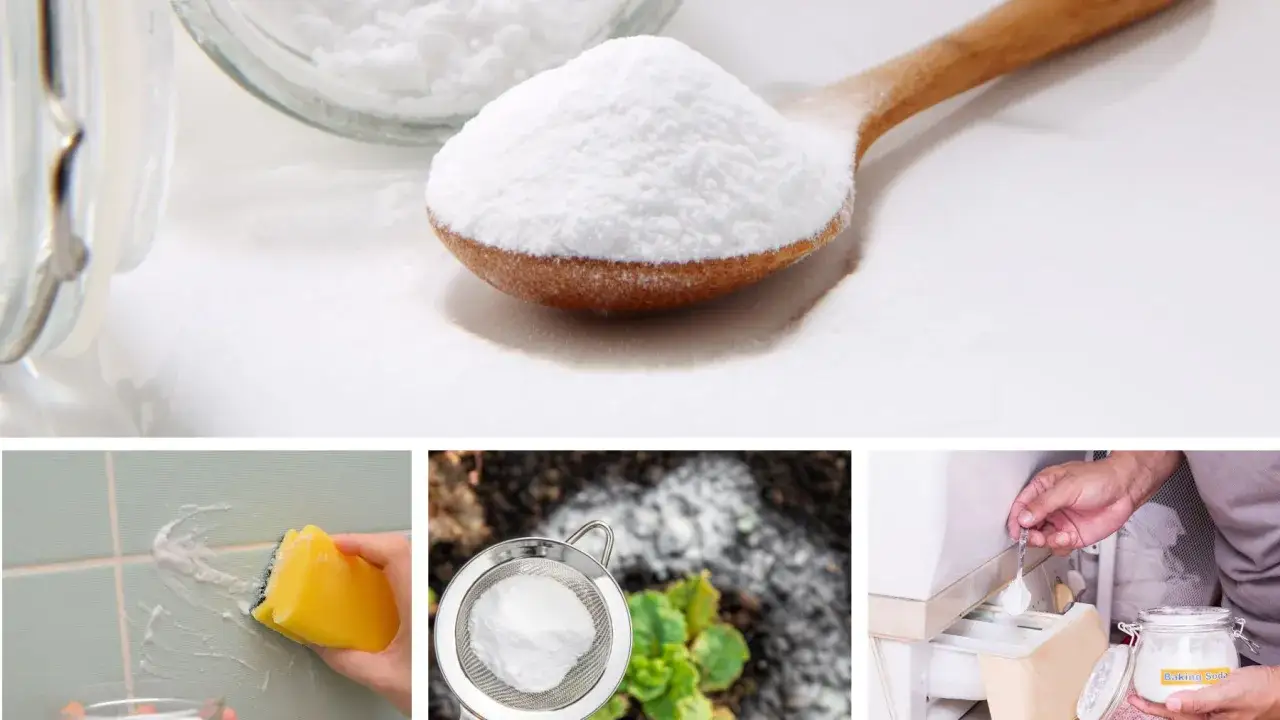 Soda oczyszczona: na zgagę, do czyszczenia fug, jako nawóz i do prania. Wszechstronny biały proszek.
