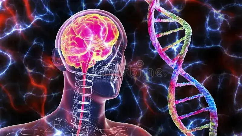 spirala DNA i ludzki m&oacute;zg grafika koncepcyjna