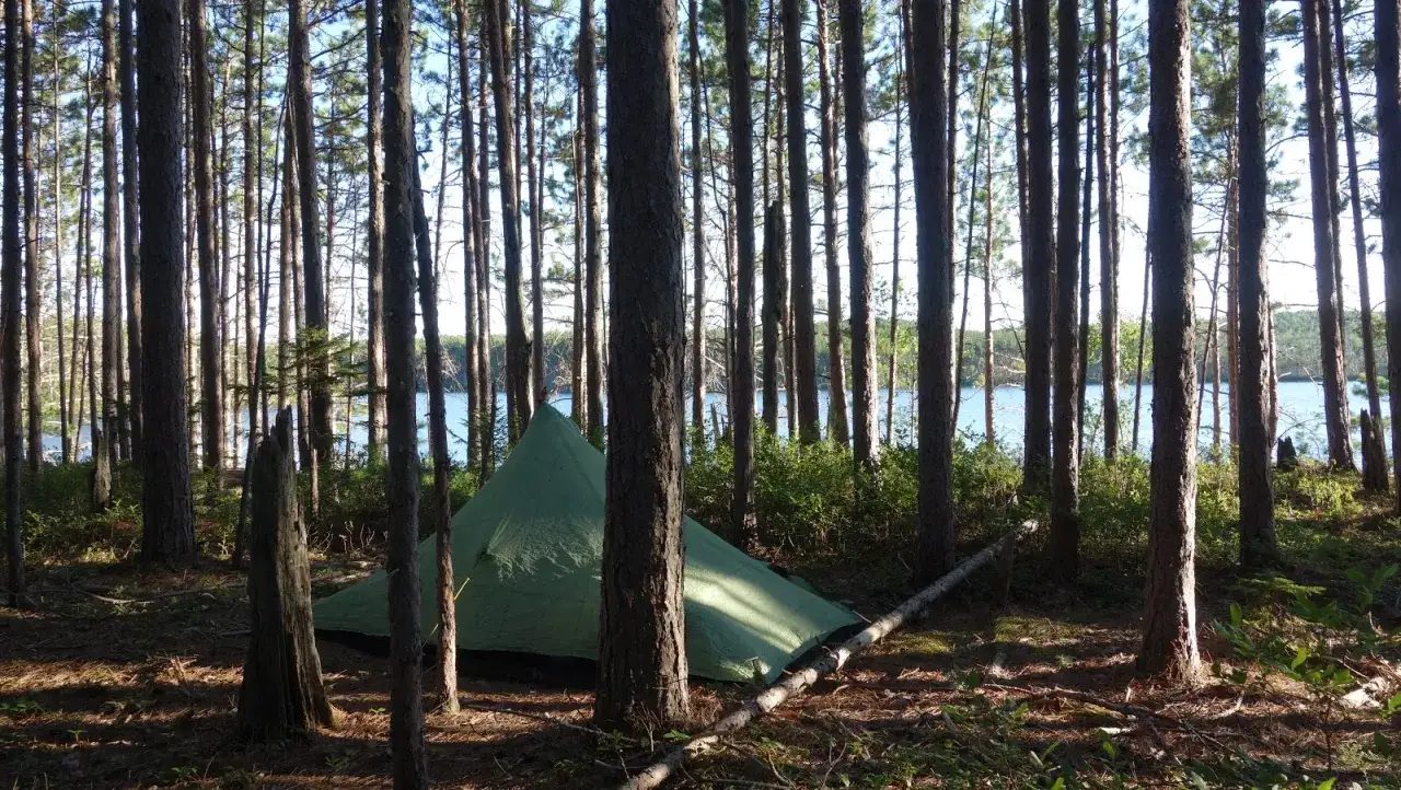 Zielony namiot czeka na biwak w lesie sosnowym nad jeziorem. Idealne miejsce, by odpocząć od zgiełku.