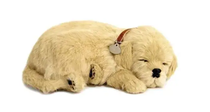 Perfect Petzzz vs FurReal Friends comparison