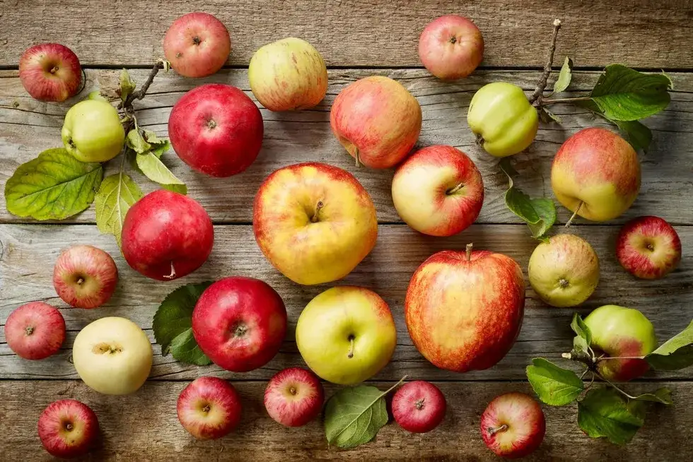 różne odmiany jabłek do gotowania