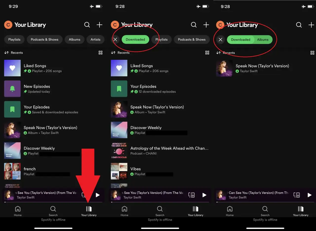 spotify premium download music interface