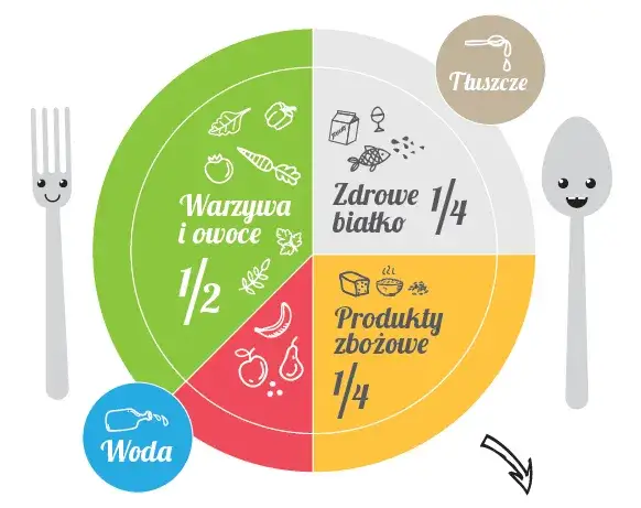 zasada zdrowego talerza proporcje składników