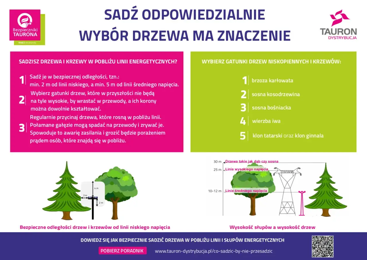 Zasady sadzenia drzew blisko linii energetycznych: wybieraj niskie gatunki, zachowaj odległość min. 2-5 m. Gdzie zgłosić wycięcie drzewa? Informacje na www.tauron-dystrybucja.pl.