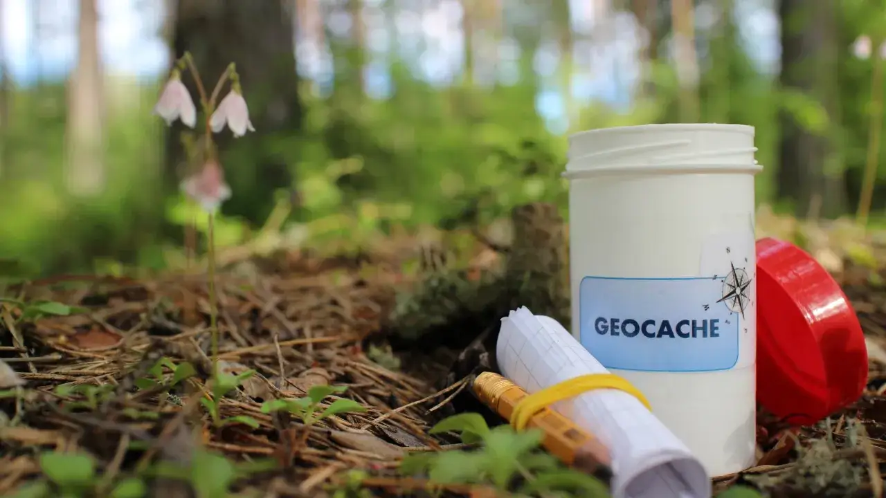 W lesie, obok delikatnych kwiat&oacute;w, leży pojemnik z napisem 