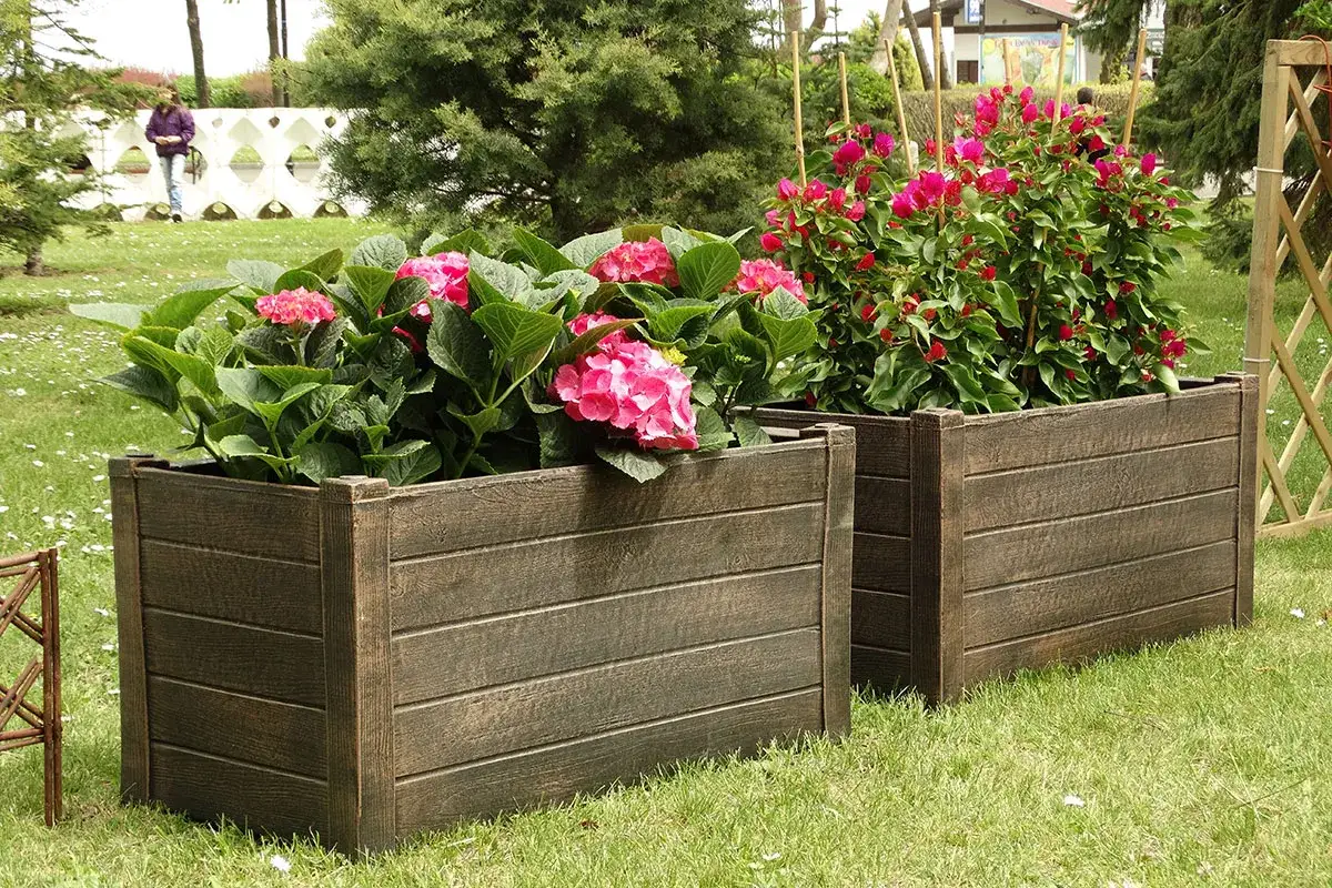 Dwie drewniane donice z kwitnącymi hortensjami i bugenwillą. Idealne, by pokazać, jak zrobić donicę z drewna.