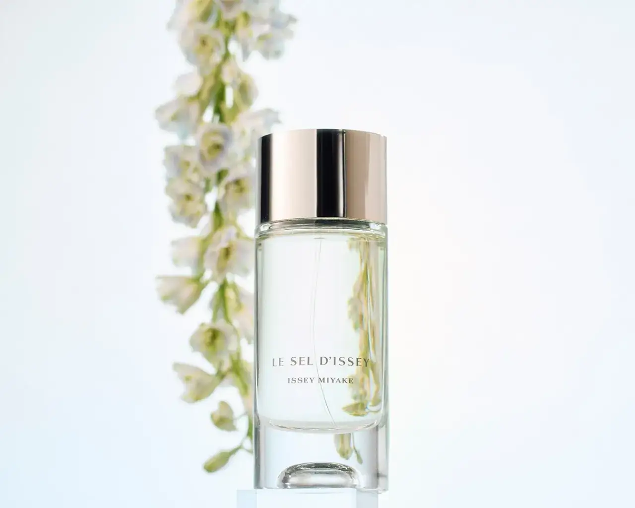 Zdjęcie Najlepsze perfumy na co dzień damskie – lekkie i świeże zapachy