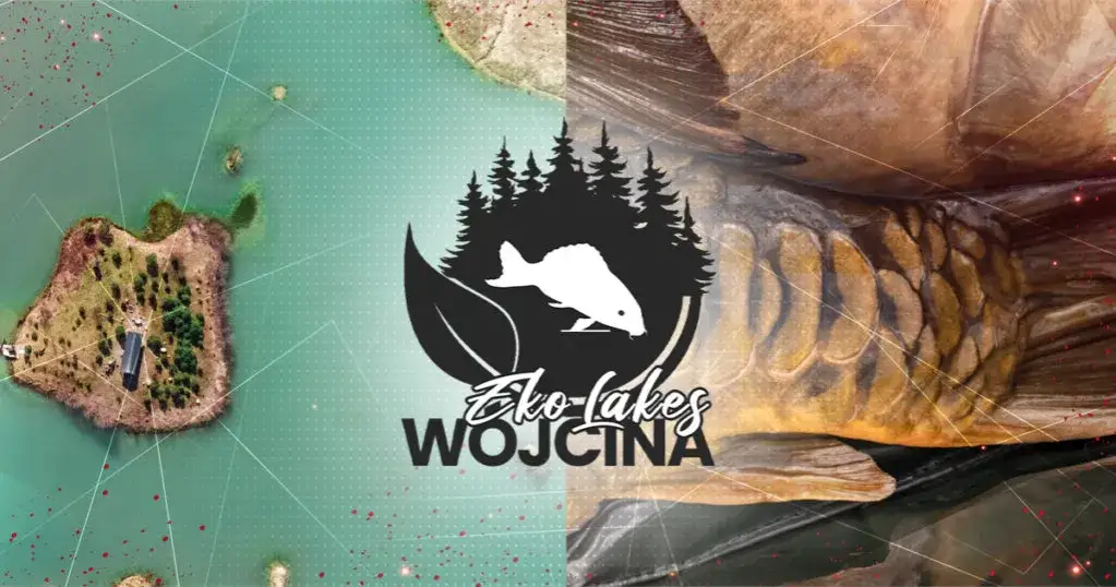 Zdjęcie Eko Lakes Wójcina – idealne łowisko karpiowe z wyjątkowymi rybami